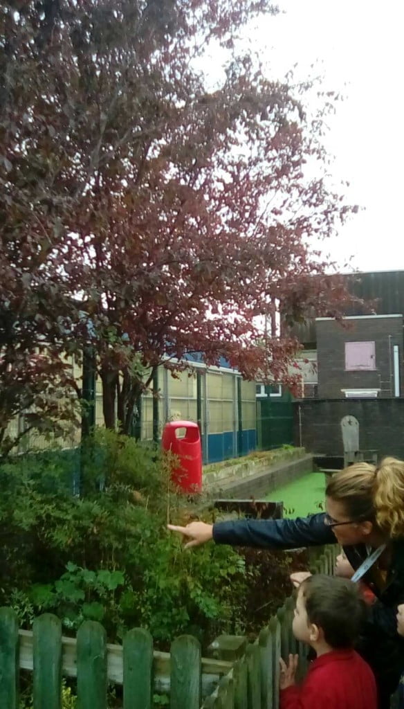 m_o_25588_hfxhk98mg3spfmakcnrbqnwjk9e9gwm2